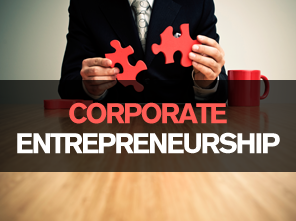 Image result for Corporate Entrepreneurship.