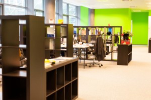 StartUp_Safary_Jan_13-142