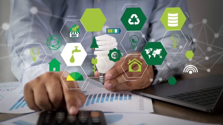 Nachhaltigkeitsmanagement Startup Studium Jobmöglichkeiten